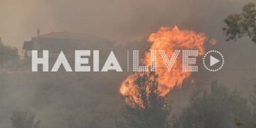 Σπίτια διακρίνονται πίσω από τις φλόγες (φωτ.: ilialive.gr)