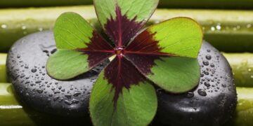 (Φωτ.: pixabay / guvo59-9285194)