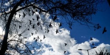 (Φωτ.: EUROKINISSI/Γιώργος Κονταρίνης)