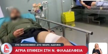 Τηλεοπτικό στιγμιότυπο από την παραμονή των δύο τραυματισμένων αδελφών στο νοσοκομείο (φωτ.: glomex)
