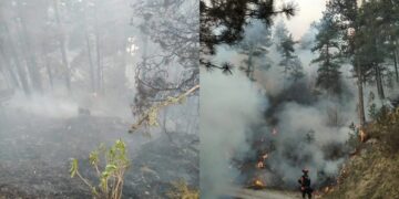 Στην περιοχή επιχειρούν ισχυρές δυνάμεις της Πυροσβεστικής (φωτ.: olympiobima.gr/Νίκος Κουτλούμπασης)