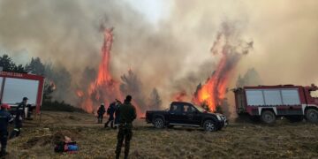 Εξακολουθεί να καίει η πυρκαγιά στα Πιέρια Όρη (φωτ.: odelalis.gr)