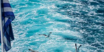 Γλάροι πετούν πάνω από την επιφάνεια της θάλασσας ακολουθώντας δρομολόγιο πλοίου (φωτ.: Eurokinissi / Γιώργος Κονταρίνης)