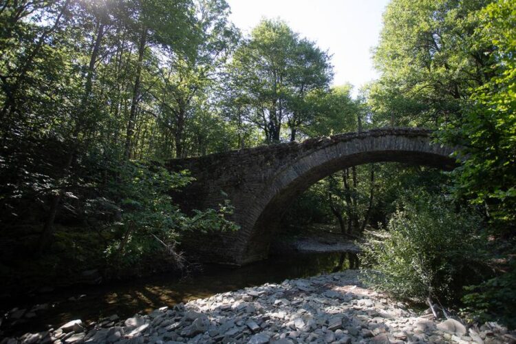 Πέτρινο γεφύρι στα Ζαγοροχώρια, στα Ιωάννινα (φωτ. αρχείου: ΑΠΕ-ΜΠΕ/Δημήτρης Τοσίδης)