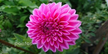 (Φωτ.: Χριστίνα Κωνσταντάκη)