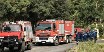 Από την άσκηση «ΔΙΑ-ΠΥΡΟΣ 2024», για δασική πυρκαγιά μεγάλης κλίμακας σε πραγματικές συνθήκες (φωτ.: ΑΠΕ-ΜΠΕ / Ευάγγελος Μπουγιώτης)