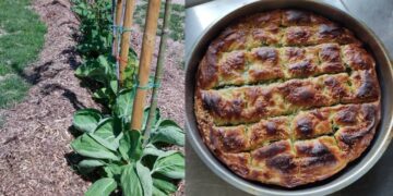 Αριστερά τα σέσκουλα στο Βρώσιμο Δάσος και δεξιά η πίτα. Από την παραγωγή, στην κατανάλωση (φωτ.: Δήμος Νεάπολης Συκεών)