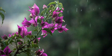(Φωτ.: EUROKINISSI / Γιώργος Κονταρίνης)