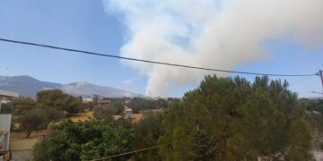 (Φωτ.: pontosnews.gr)