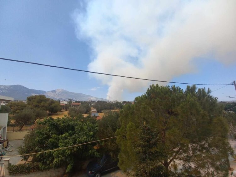 (Φωτ.: pontosnews.gr)