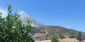 (Φωτ.: facebook.com/Βάιος Σύρρος)