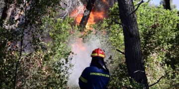 Πυρκαγιά στην Σταμάτα Αττικής, Κυριακή 30 Ιουνίου 2024. (Φωτ.: Eurokinissi/Μιχάλης Καραγιάννης)