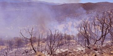 Καμένη δασική έκταση μετά την πυρκαγιά που ξέσπασε στην περιοχή Δάρδιζα Ερμιονίδος και στο Ηλιόκαστρο (φωτ.:ΑΠΕ-ΜΠΕ/Ευάγγελος Μπουγιώτης)