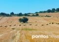 Mπάλες άχυρου από τα θερισμένα σιτοχώραφα της Μακεδονίας (φωτ.: Αλεξία Ιωαννίδου)