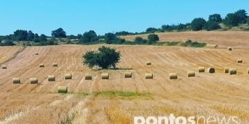 Mπάλες άχυρου από τα θερισμένα σιτοχώραφα της Μακεδονίας (φωτ.: Αλεξία Ιωαννίδου)