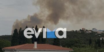 Η φωτιά έκαιγε στην περιοχή του Αλμυροποτάμου από το μεσημέρι της Πέμπτης (φωτ.: evima.gr)