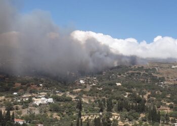 Η φωτιά που καίει στην Άνδρο (φωτ.: Facebook / Χρυσοβαλάντης Δημήτριος Αχλάδης)