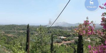 Στο βάθος ο καπνός από τη φωτιά που καίει στην Ψίνθο (φωτ.: Ροδιακή)