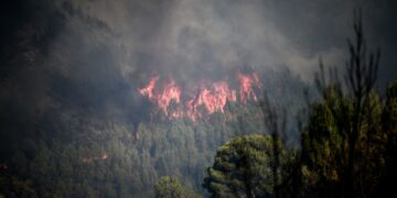 Στιγμιότυπο από τη φωτιά στην Αχαΐα (φωτ.: EUROKINISSI/IleiaLive/Γιάννης Σπυρούνης)