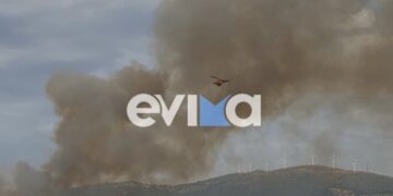 Η φωτιά προς το παρόν καίει αγροτοδασική έκταση (φωτ.: evima.gr)