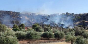 Φλόγες καίνε ελαιόδεντρα στην Αργολίδα (φωτ.: EUROKINISSI/Λευτέρης Δαγρές)