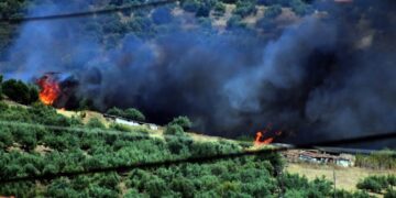 Στιγμιότυπο από φωτιά στις Μυκήνες, η οποία απείλησε κτηνοτροφικές μονάδες (φωτ.: EUROKINISSI/Βασίλης Παπαδόπουλος)