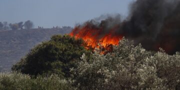 Η φωτιά προχωρά με ταχύτατους ρυθμούς λόγω των ισχυρών ανέμων (φωτ.: EUROKINISSI/Σωτήρης Δημητρόπουλος)