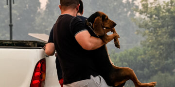 (Φωτ.: EUROKINISSI / ilialive.gr / Γιάννης Σπυρούνης)