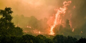 Οι φλόγες κατέκαψαν δασικές περιοχές στην Ηλεία (φωτ.: EUROKINISSI/IleiaLive/Γιάννης Σπυρούνης)