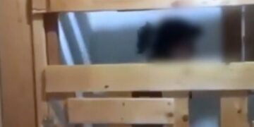 Στιγμιότυπο από βίντεο στο οποίο διακρίνεται η 29χρονη μέσα από την ξύλινη κατασκευή (φωτ.: glomex)