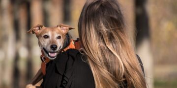 (Φωτ. αρχείου: Pixabay/RebeccasPictures)