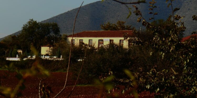 Το δημοτικό σχολείο Οινόης (φωτ.: facebook.com/ Πολιτιστικός Σύλλογος Οινόης «Χρύσανθος»