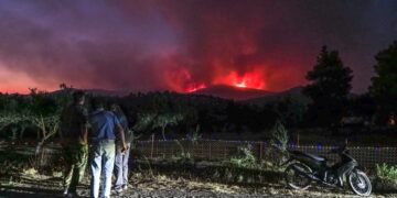 Πυρκαγιά στην κεντρική Εύβοια σε δασική έκταση , στην περιοχή Αφράτι, Τετάρτη 31 Ιουλίου 2024 (φωτ.: Θοδωρής Νικολάου/Eurokinissi)