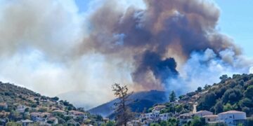 Μεγάλη πυρκαγιά στην Εύβοια, ανάμεσα στα χωριά Πετριές και Κριέζα (φωτ.: Eviathema.gr / EUROKINISSI)