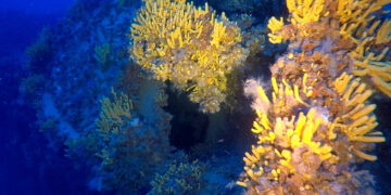 (Φωτ.: ΑΠΕ-ΜΠΕ / STR)