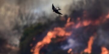 (Φωτ.: Eurokinissi / Μιχάλης Καραγιάννης)