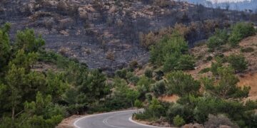 Καμένα δέντρα στην περιοχή Μετόχι στη Χίο (φωτ.: ΑΠΕ-ΜΠΕ / Κώστας Κούριας)