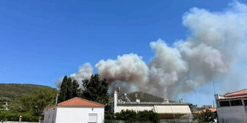 Μεγάλη πυρκαγιά στην Εύβοια, ανάμεσα στα χωριά Πετριές και Κριέζα (φωτ.: Eviathema.gr / EUROKINISSI)
