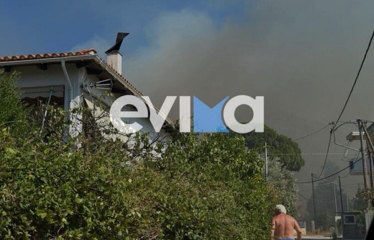 Πυκνός καπνός κοντά σε σπίτια στον Αλμυροπόταμο (φωτ.: evima.gr)