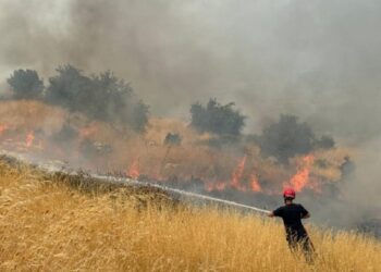 Πύρινο μέτωπο στη Δρόπολη (φωτ.: Υπουργείο Εσωτερικών της Αλβανίας)