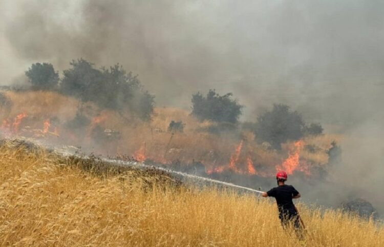 Πύρινο μέτωπο στη Δρόπολη (φωτ.: Υπουργείο Εσωτερικών της Αλβανίας)