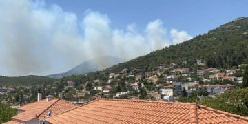 Καπνός από τη φωτιά στις Ερυθρές (φωτ.: Facebook / Πυρκαγιά Ενημέρωση / Ανθή Κώνστα)