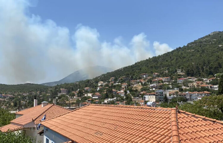 Καπνός από τη φωτιά στις Ερυθρές (φωτ.: Facebook / Πυρκαγιά Ενημέρωση / Ανθή Κώνστα)