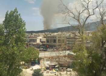 Η φωτιά στα Γλυκά Νερά όπως φαίνεται από το Χαλάνδρι (φωτ.: Σοφία Λυσιόβα)