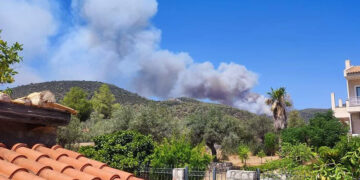 Καπνός από τη φωτιά στο Σοφικό Κορινθίας (φωτ.: Facebook / Πυρκαγιά Ενημέρωση / Panagiotis Firefighter)