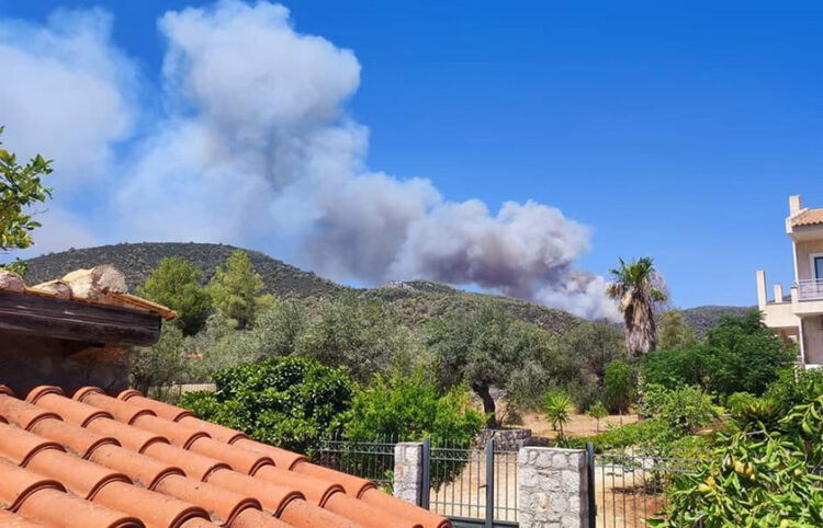 Καπνός από τη φωτιά στο Σοφικό Κορινθίας (φωτ.: Facebook / Πυρκαγιά Ενημέρωση / Panagiotis Firefighter)