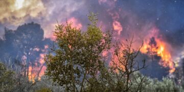 Δασική πυρκαγιά στην Κορινθία (φωτ. αρχείου: EUROKINISSI/Βασίλης Ψωμάς)