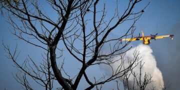 (Φωτ. αρχείου: EUROKINISSI/Βασίλης Ψωμάς)