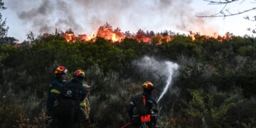 Πυροσβέστες επιχειρούν μέσα σε πευκοδάσος (φωτ.: EUROKINISSI/Μιχάλης Καραγιάννης)
