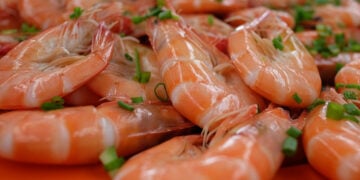 (Φωτ.: Pixabay / Victoria Lin)